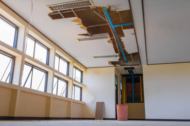 Best Commercial water damage restoration  in Princeton Junction, NJ