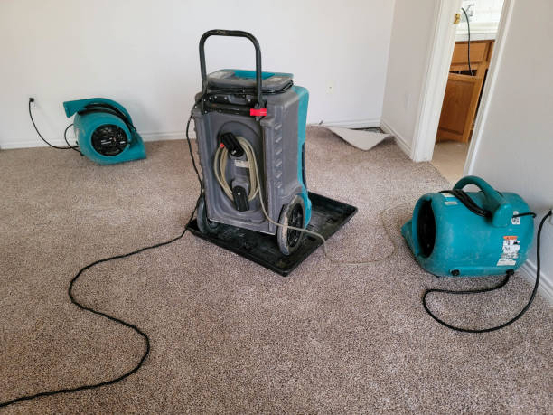 Best Fire Damage Restoration  in Princeton Junction, NJ