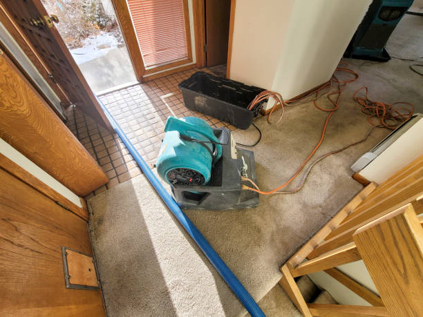 Best Local water damage restoration  in Princeton Junction, NJ