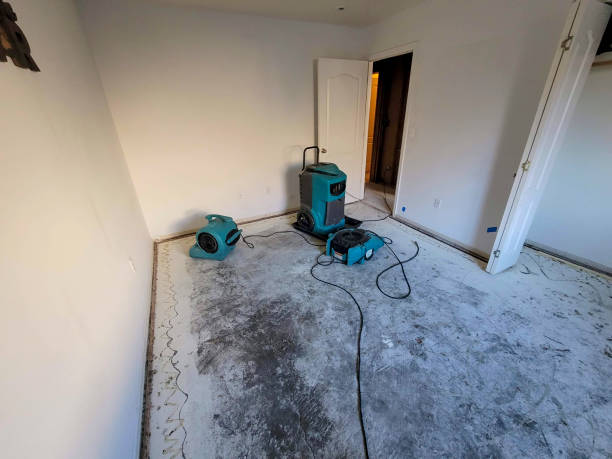 Best Water damage restoration mold remediation  in Princeton Junction, NJ
