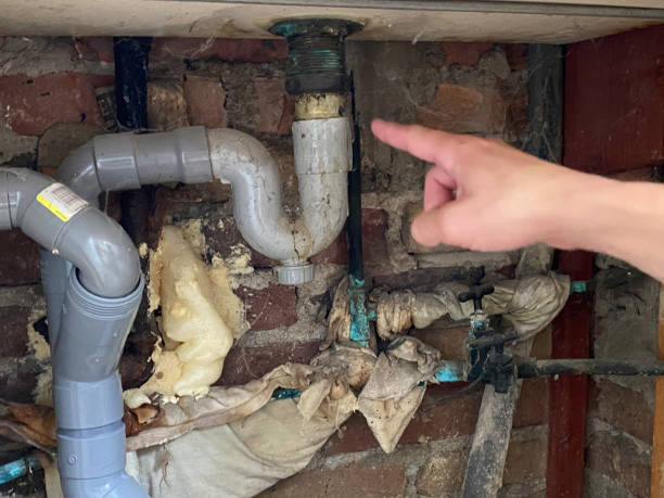 Best Mold removal after water damage  in Princeton Junction, NJ